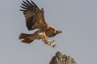 /album/fotogaleria-inicio/wee-9-jpg1/